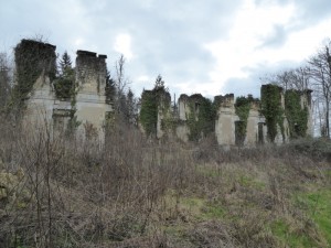 20160215005 Ruines Horte_DxO